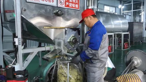 大豆加工緊鑼密鼓 力爭首季 開門紅